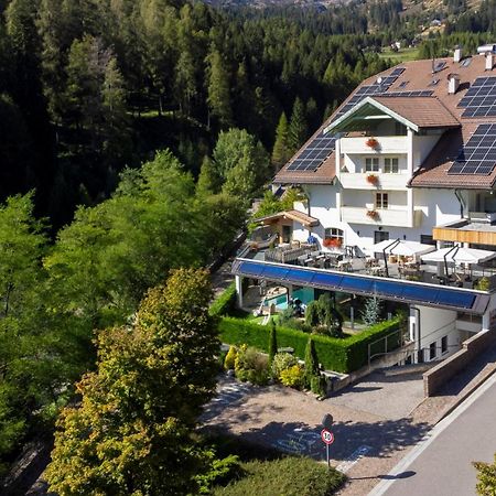 Hotel Erica Тезеро Экстерьер фото