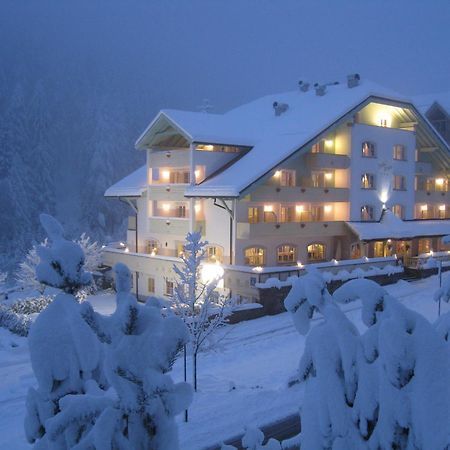 Hotel Erica Тезеро Экстерьер фото