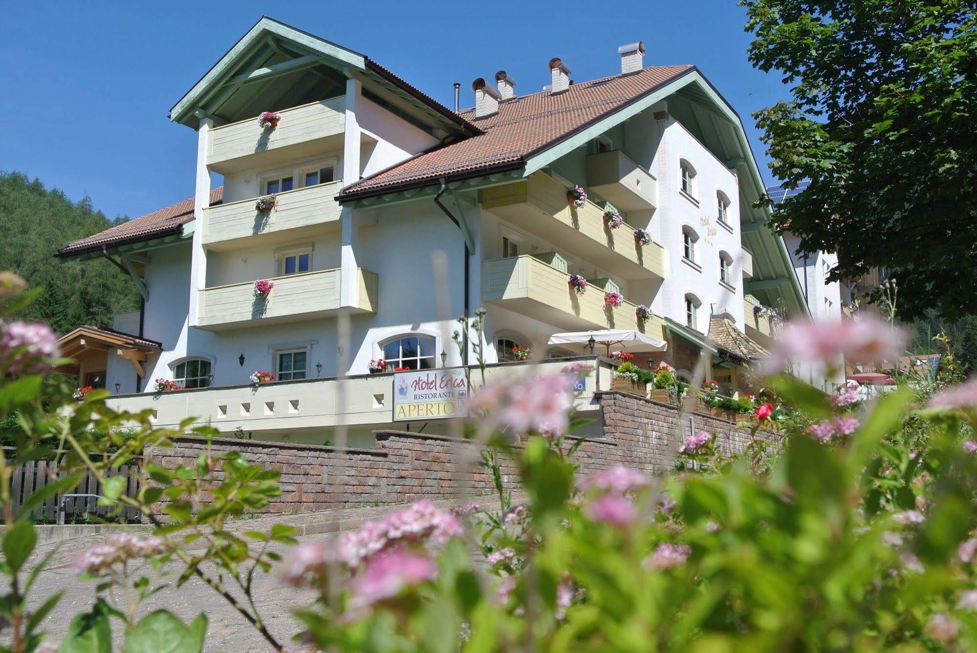 Hotel Erica Тезеро Экстерьер фото